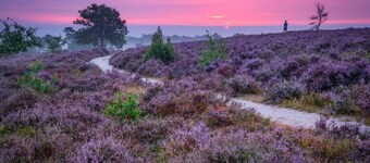 Vacation home Sallandse Heuvelrug, Hellendoorn, Zwolle in nature with Luxe Hottub