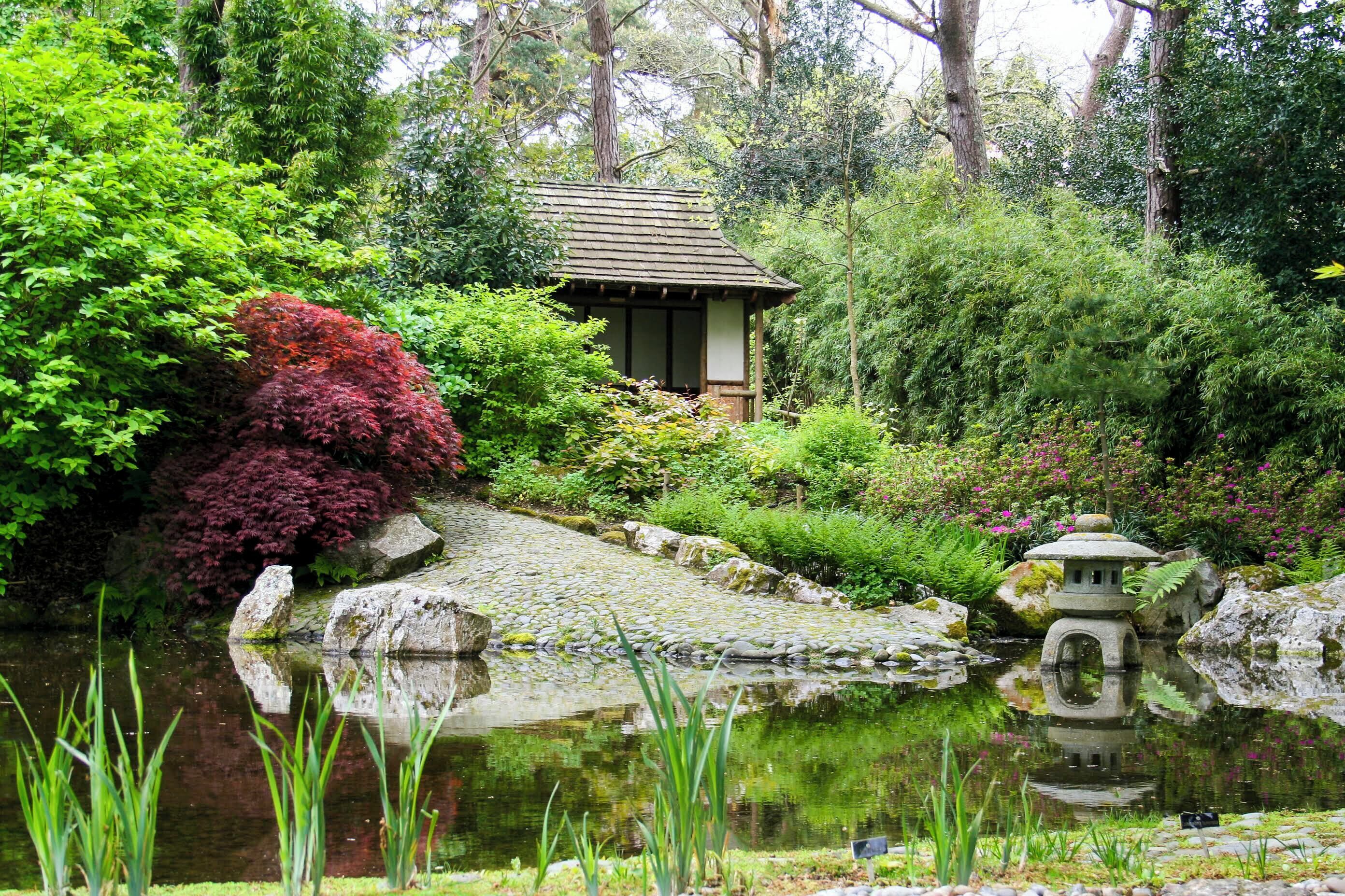 Un jardín japonés tradicional con un farol de piedra, una pequeña estructura de madera y un estanque.