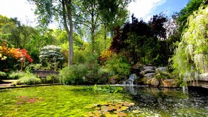 Un jardín tranquilo con un estanque, abundante vegetación y una cascada pequeña.