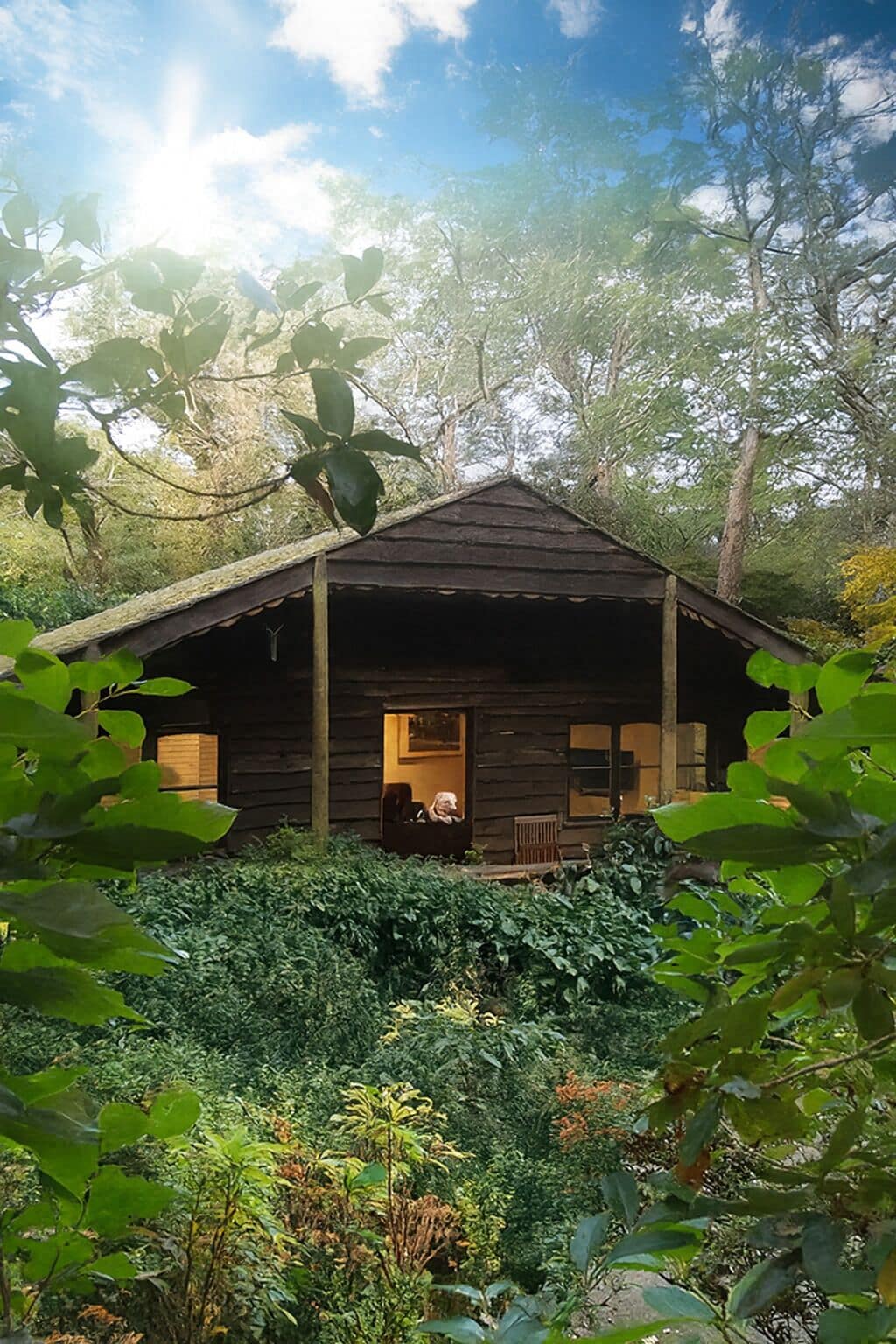 A rustic cabin with a porch, surrounded by dense foliage.