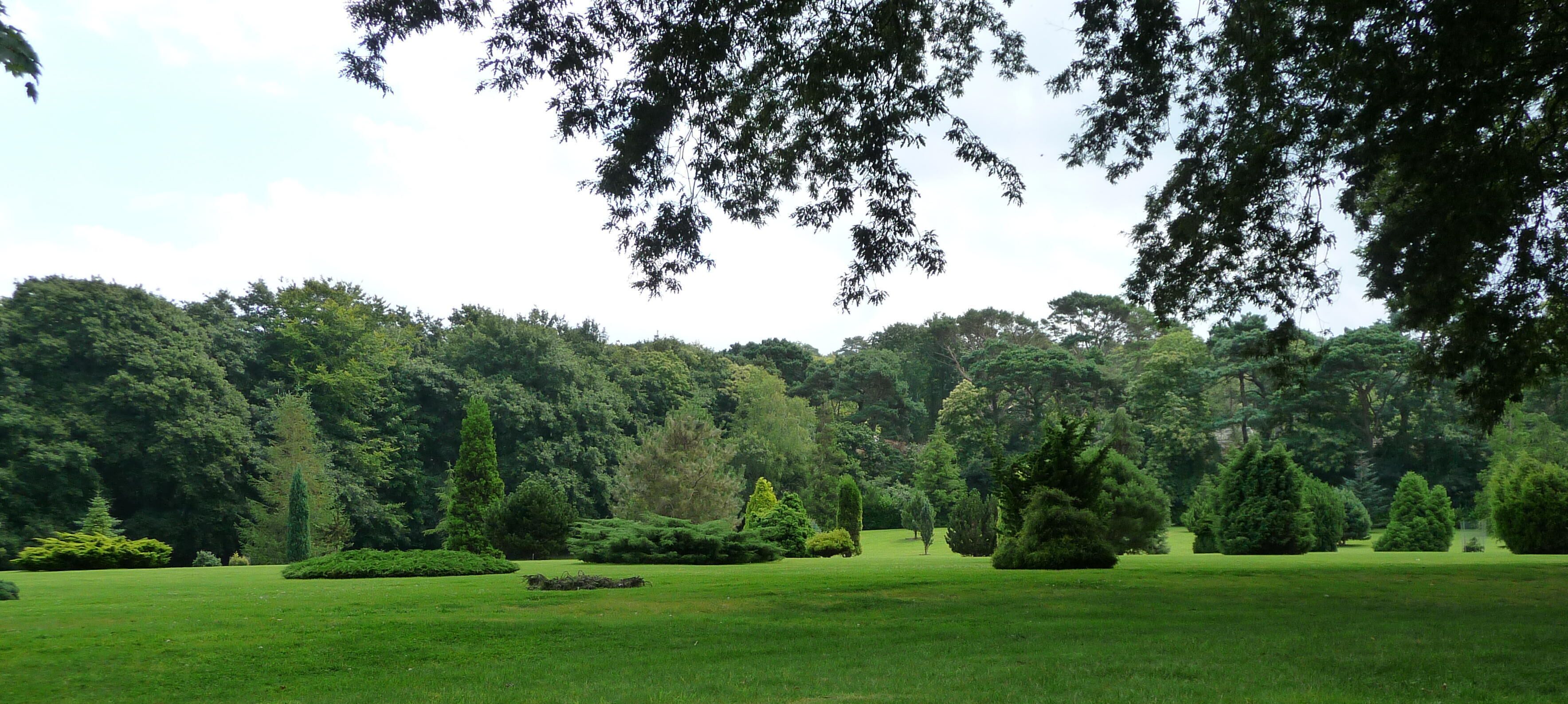 Un parc bien entretenu, avec différents types d’arbres et une zone herbeuse.