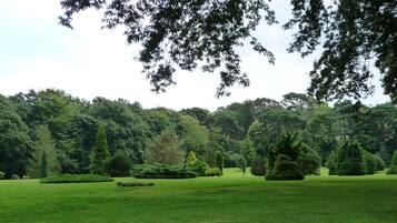Un parc bien entretenu, avec différents types d’arbres et une zone herbeuse.