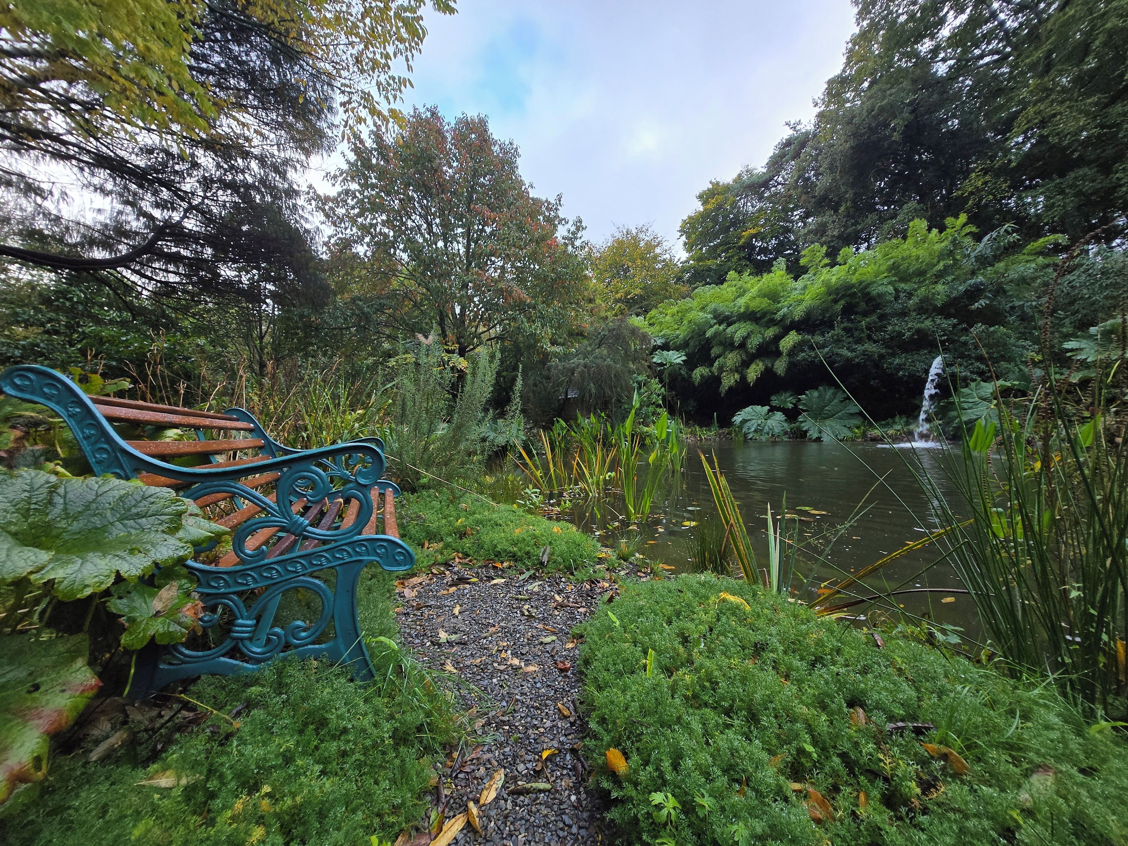Un banc au bord d’un étang, près d’une cascade, le tout entouré d’une végétation luxuriante.