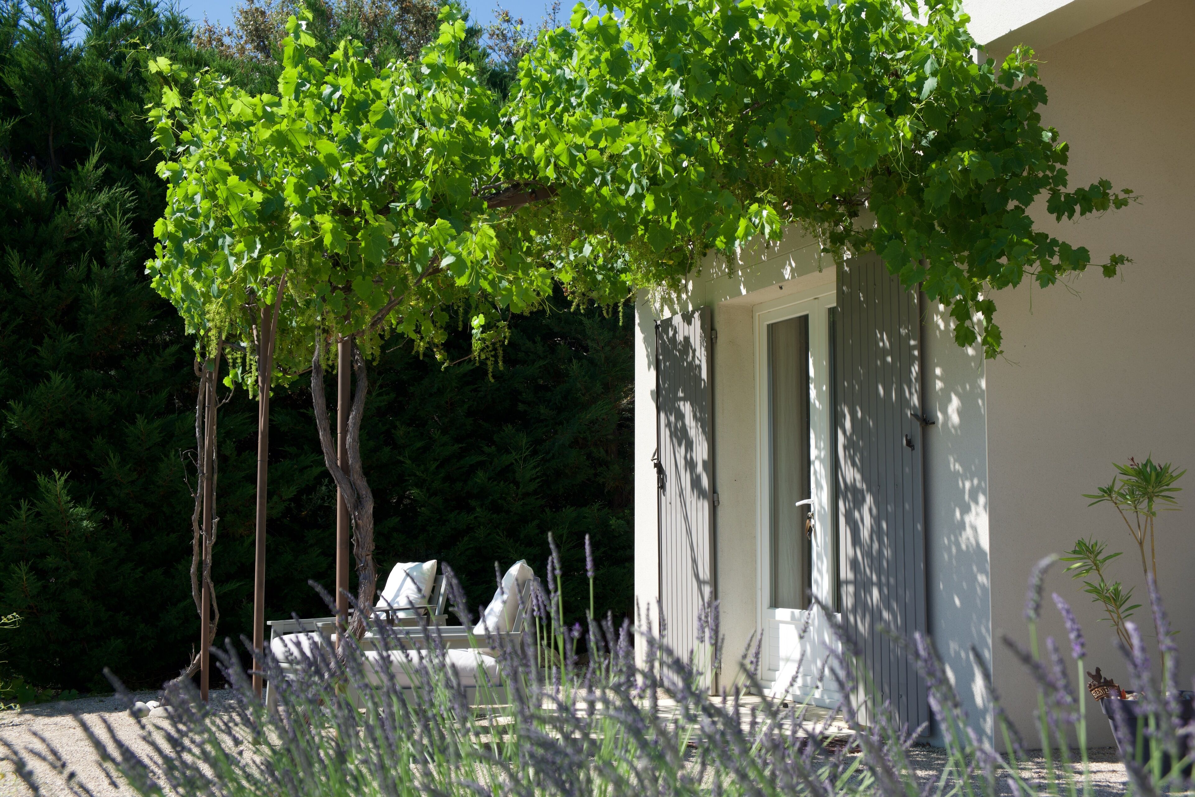 Comfort Double or Twin Room, Garden View | Terrace/patio