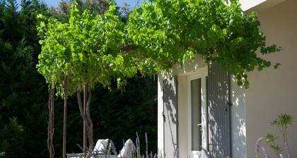 La Bastide au Ventoux