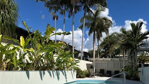 Une piscine à bord incurvé, entourée de palmiers et délimitée par une clôture blanche.