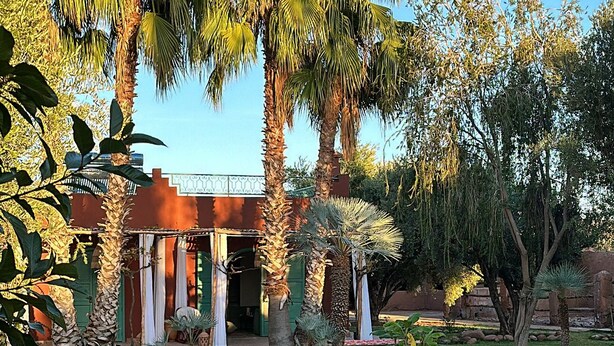A pool with a clear reflection, surrounded by palm trees and a building with columns. - Maison Chaliya guesthouse  (Tamazouzte)