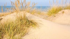 A sandy beach with dunes and grass.