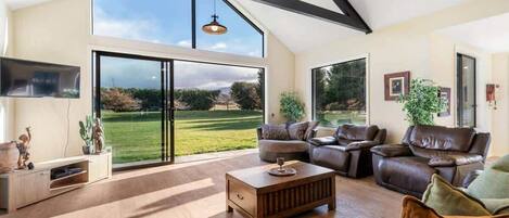 Télévision, cheminée, livres, espaces bureaux