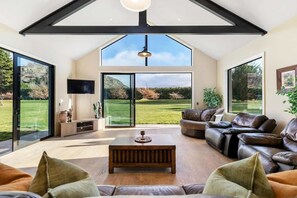 Televisor, llar de foc, llibres i oficines 