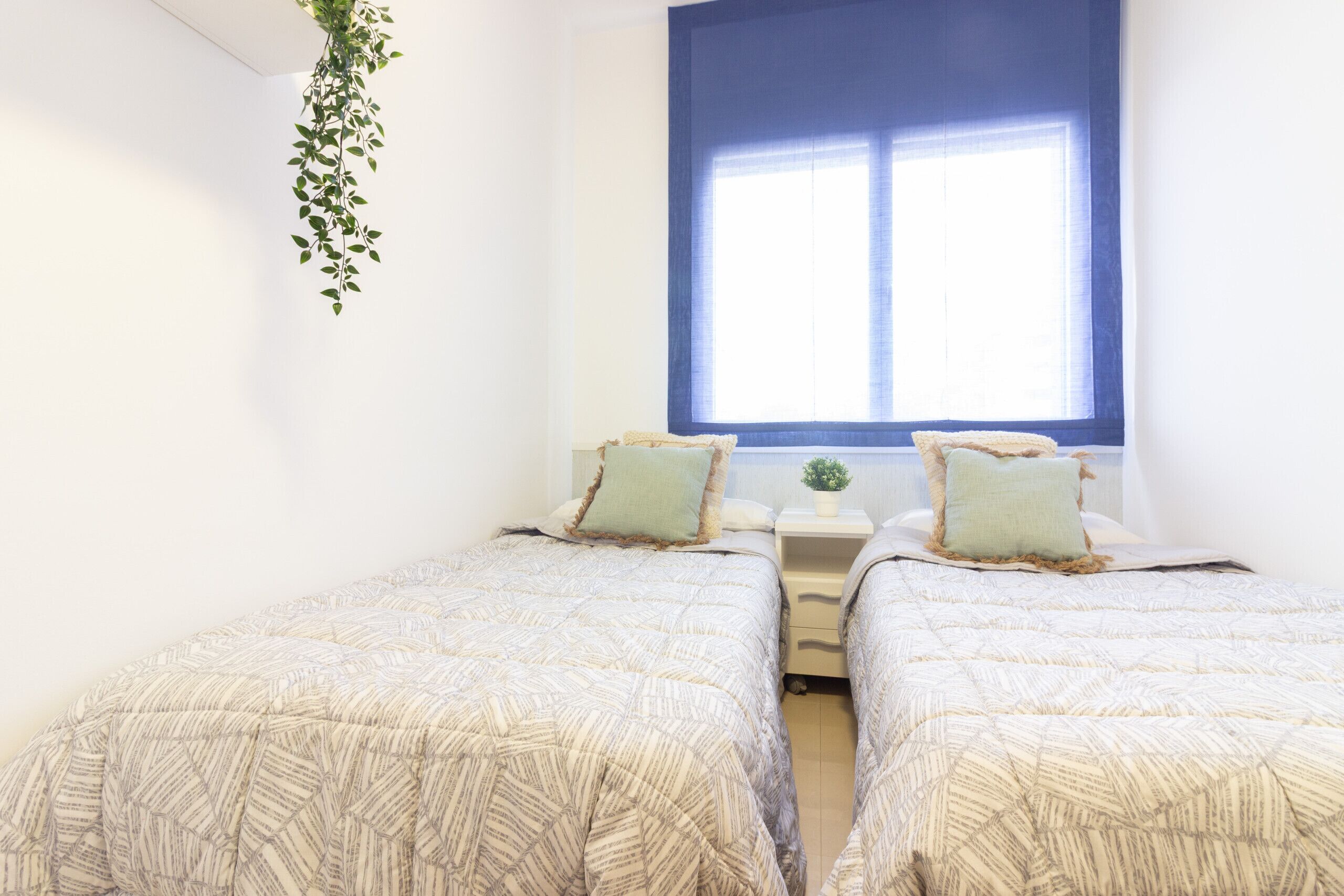 Ein Zimmer mit zwei Betten, einem Fenster mit blauen Jalousien, einer hängenden Pflanze und einem kleinen Nachttisch mit einer Lampe.