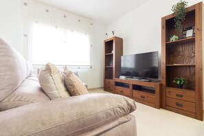 Televisión 