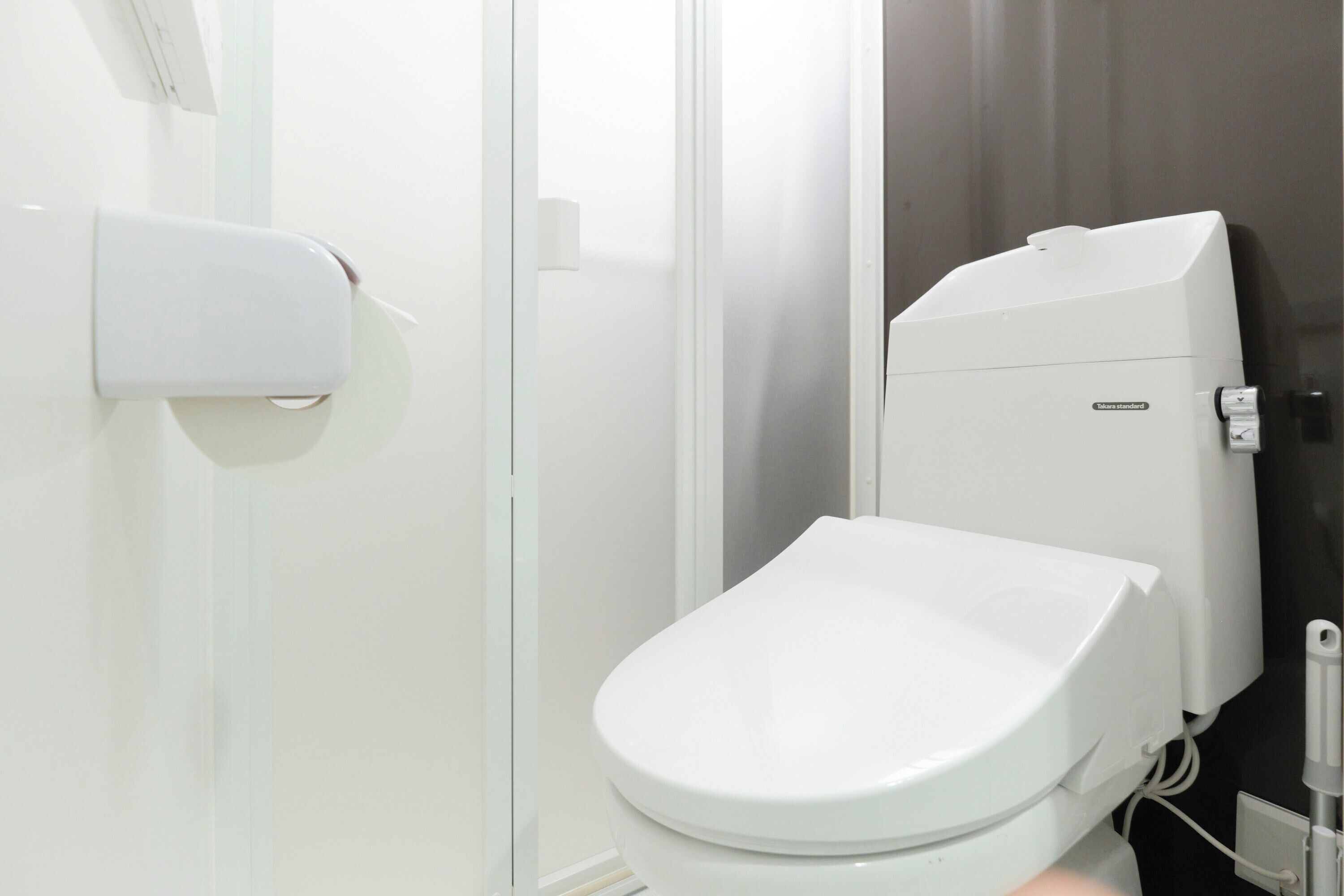 Een wit toilet met tank, een papierrolhouder aan de muur en een zichtbare leiding.