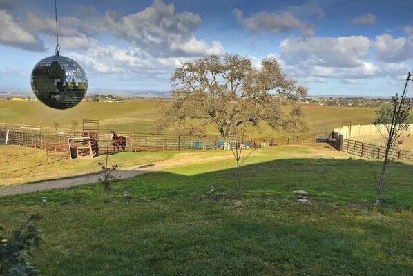 Property grounds - Charming 4-bedroom farmhouse on 173 acres (Paso Robles)