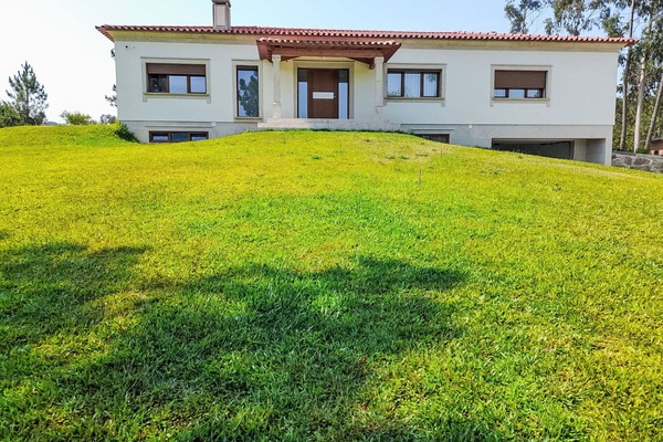 Blau, Stuhl, Gartenmöbel, Design, Schatten, Tisch Im Freien, Eco Hotel, Terrasse, Zimmerpflanze, Daylighting