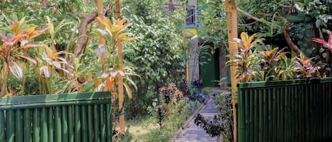Garden view