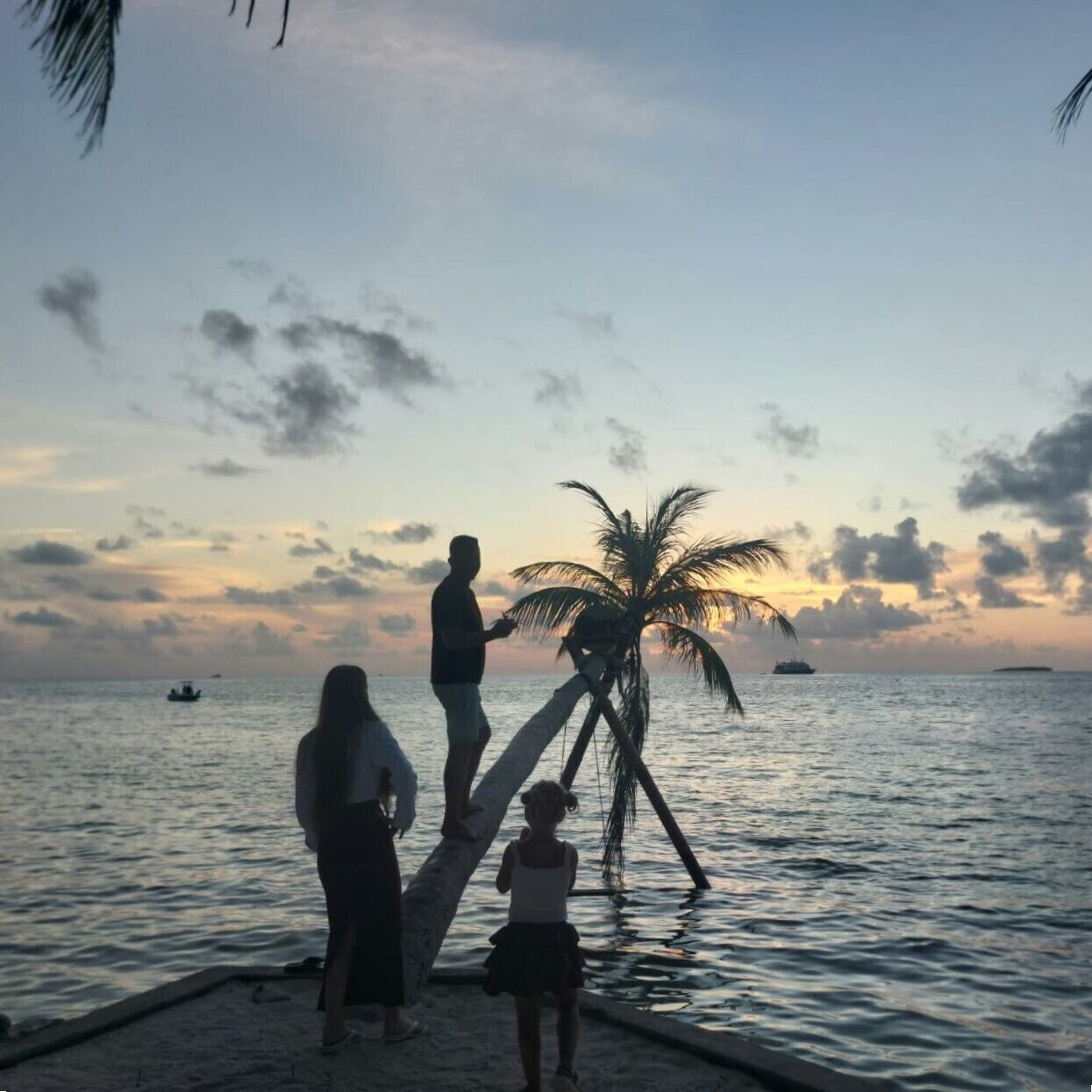 A beach scene with a palm tree, calm sea, and a sunset.
