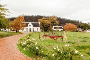 Property grounds - Basse Provence (Franschhoek)