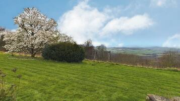 House | Property grounds