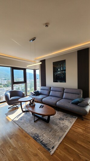 Smart TV, books, video library, stereo