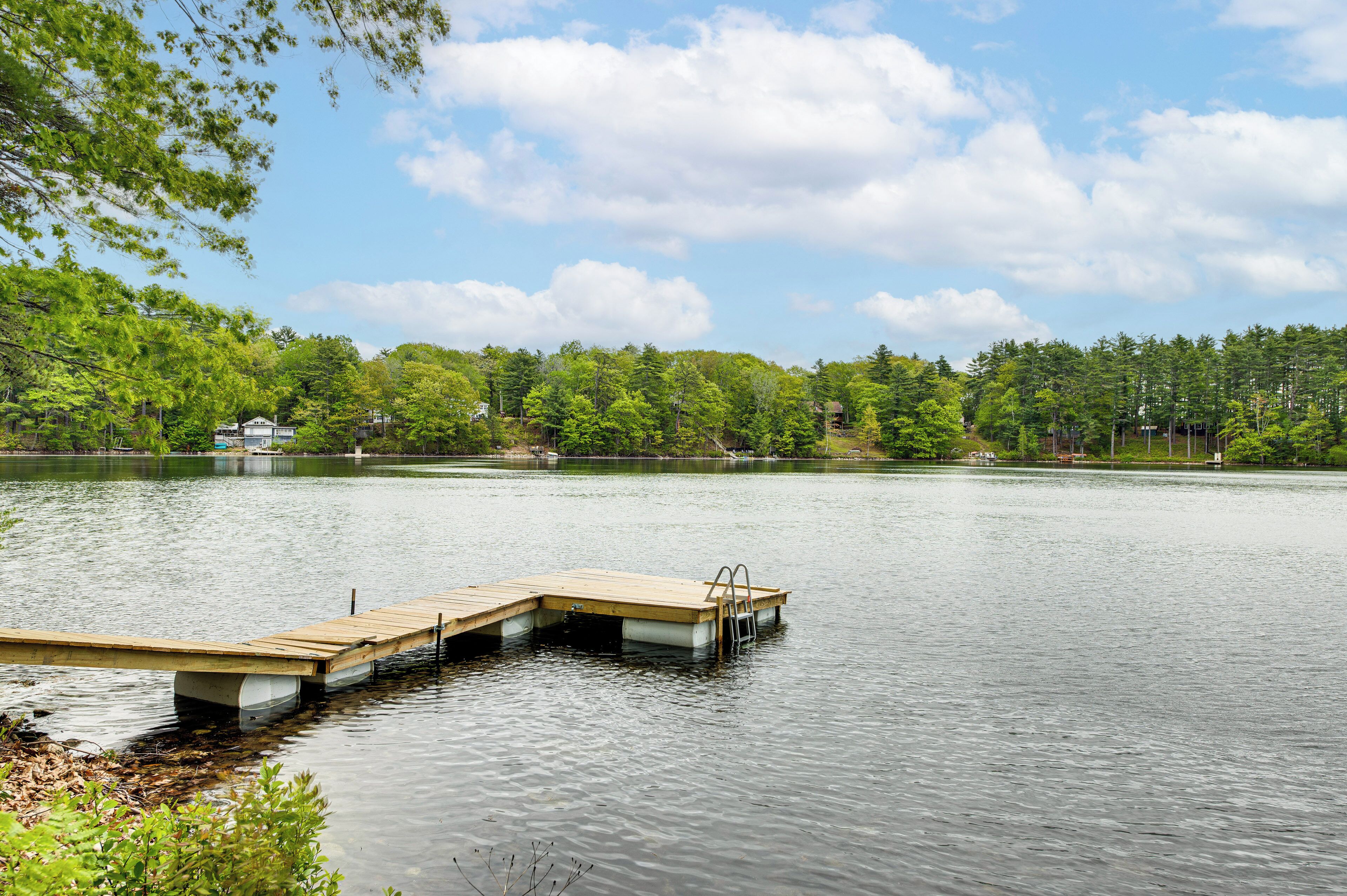 A wooden dock extending into a calm lake surrounded by dense green trees.