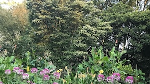 Un jardin avec des murs en pierre et diverses plantes à fleurs.
