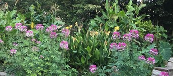 Comfortable house in Ballantyne, A+ mattresses, Convenient everything! Large TVs