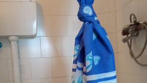 A bathroom with a white toilet, a bathtub, and a shower curtain with a blue and white pattern.