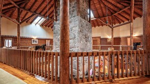 A rustic lodge with a stone fireplace, wooden beams, and a fenced-in area with a dog. - Great Camp Hollywood Hills (Old Forge)