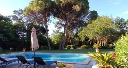 Beautiful, peaceful villa in the heart of the wild Camargue