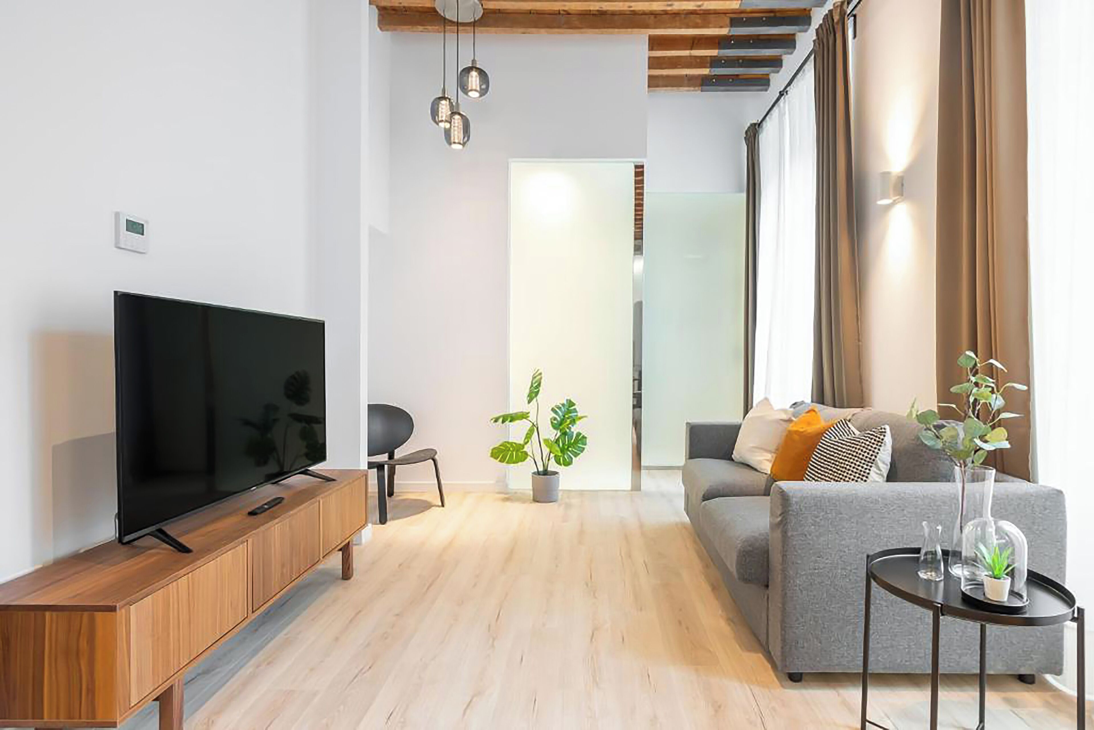 A modern living room with a flat-screen TV on a wooden console, a grey sofa with cushions, a small side table with decorative items, and a potted plant.