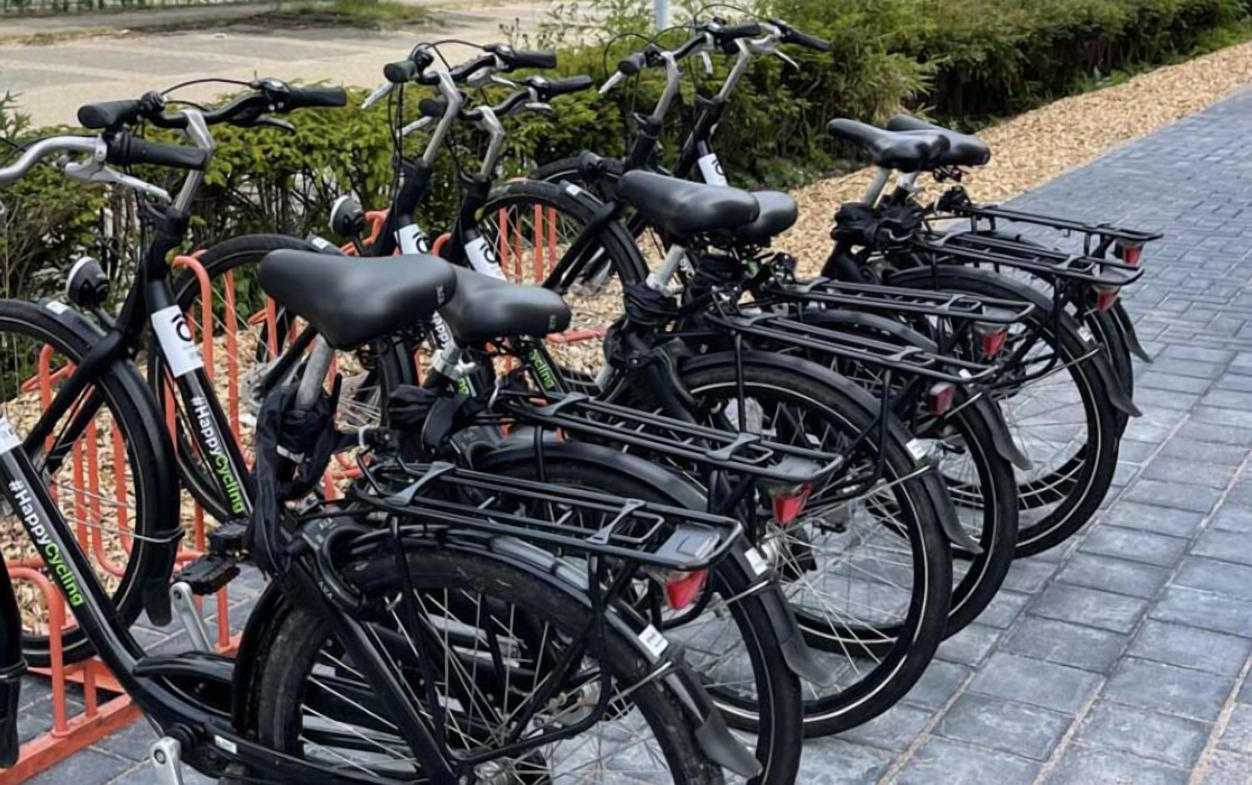 A row of bicycles parked on a paved surface, likely part of a bike-sharing program.