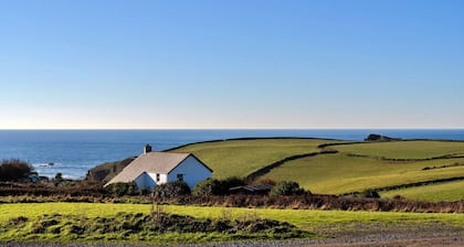 Lizard Point