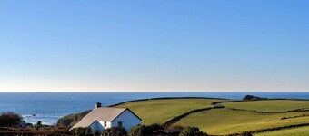 Lizard Point