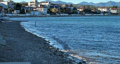 House Pelops petalidi