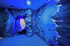 L'intérieur d'une grotte de glace, avec un mur en bois et une seule tortue.