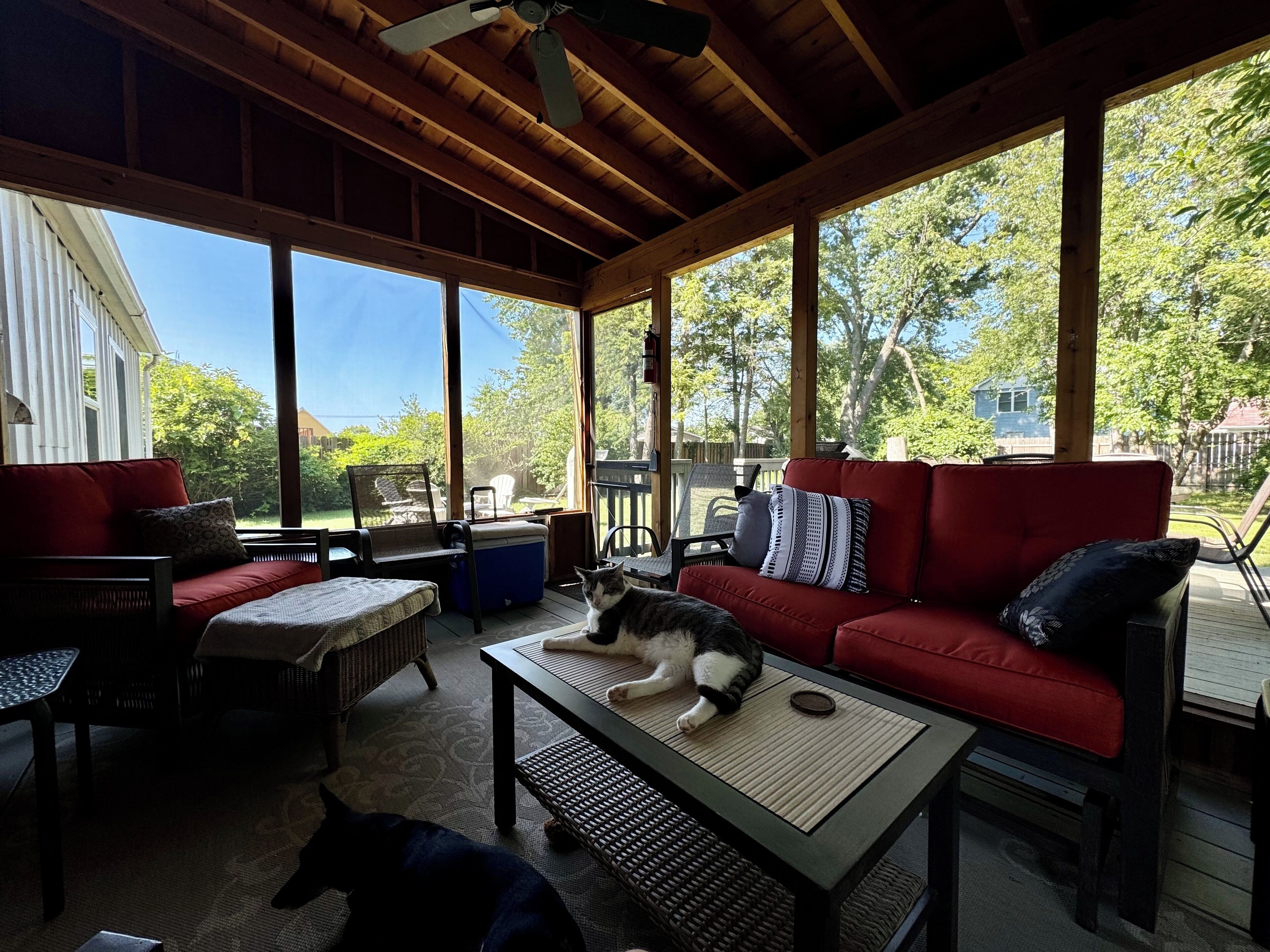 Smart-TV, Stereoanlage, Computerbildschirme