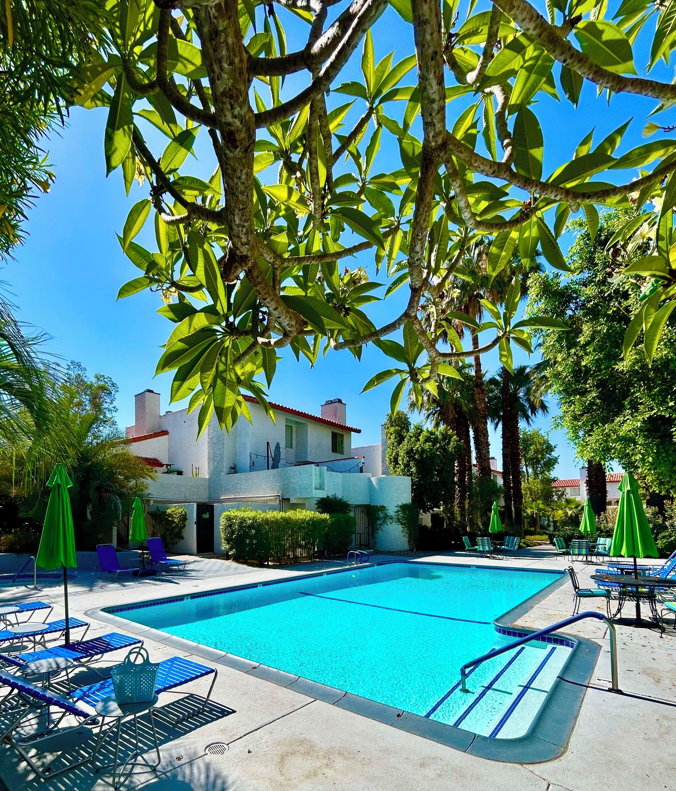 Ein Pool mit Liegestühlen und Sonnenschirmen, umgeben von Bäumen und einem Gebäude im Hintergrund.