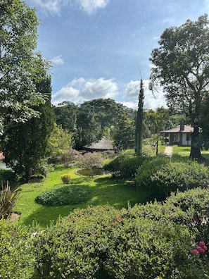 Jardí