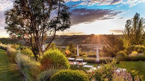 Un jardín con un árbol grande, un pabellón blanco y vistas a la puesta de sol sobre colinas onduladas.