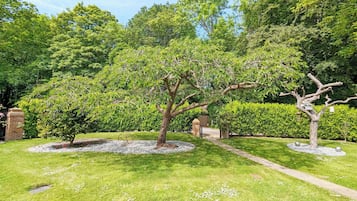 House | Property grounds