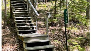 Una scala di legno conduce a una baita circondata da alberi.