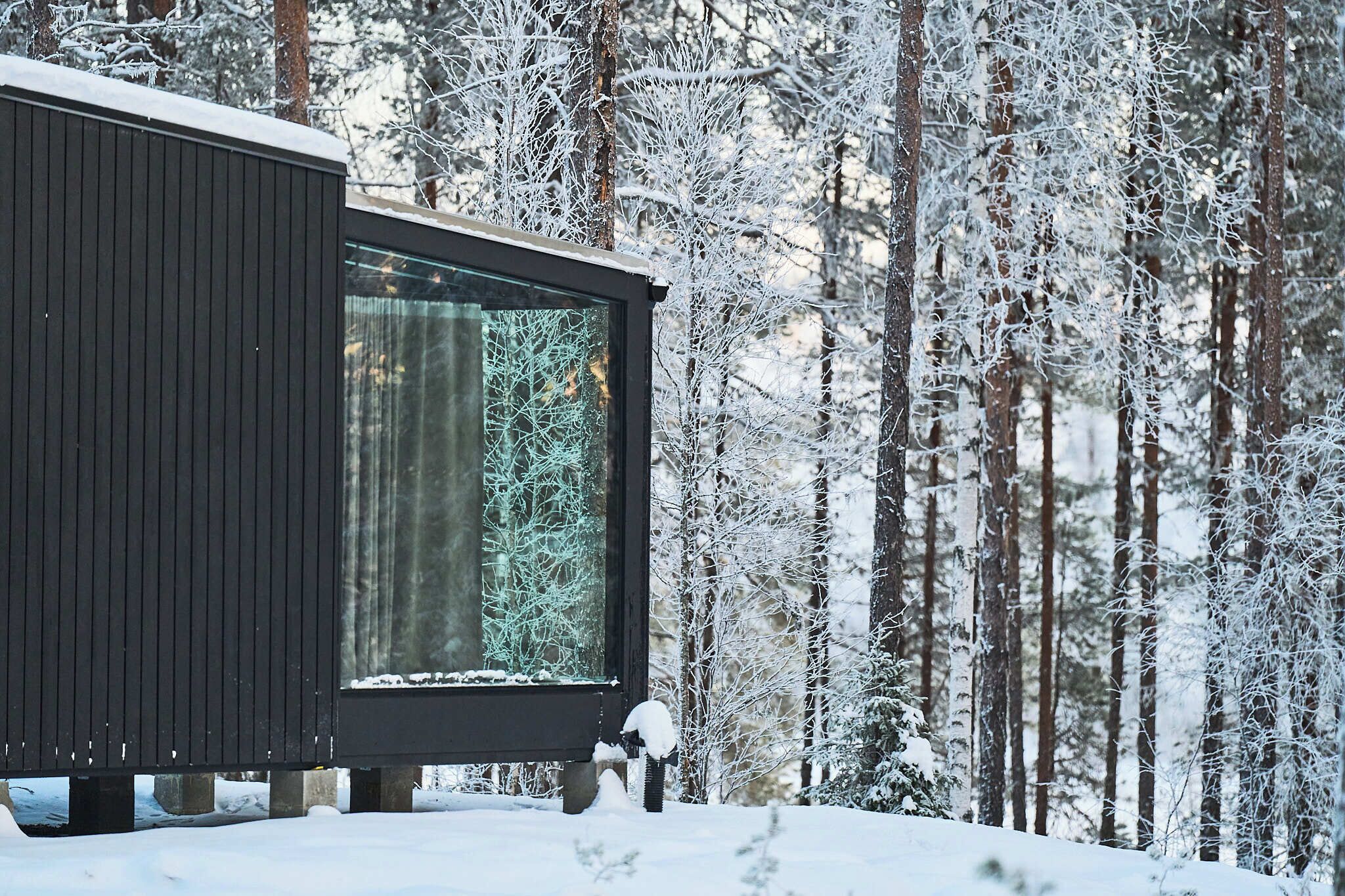 Eine moderne Hütte mit einem großen Fenster, umgeben von einem verschneiten Wald.
