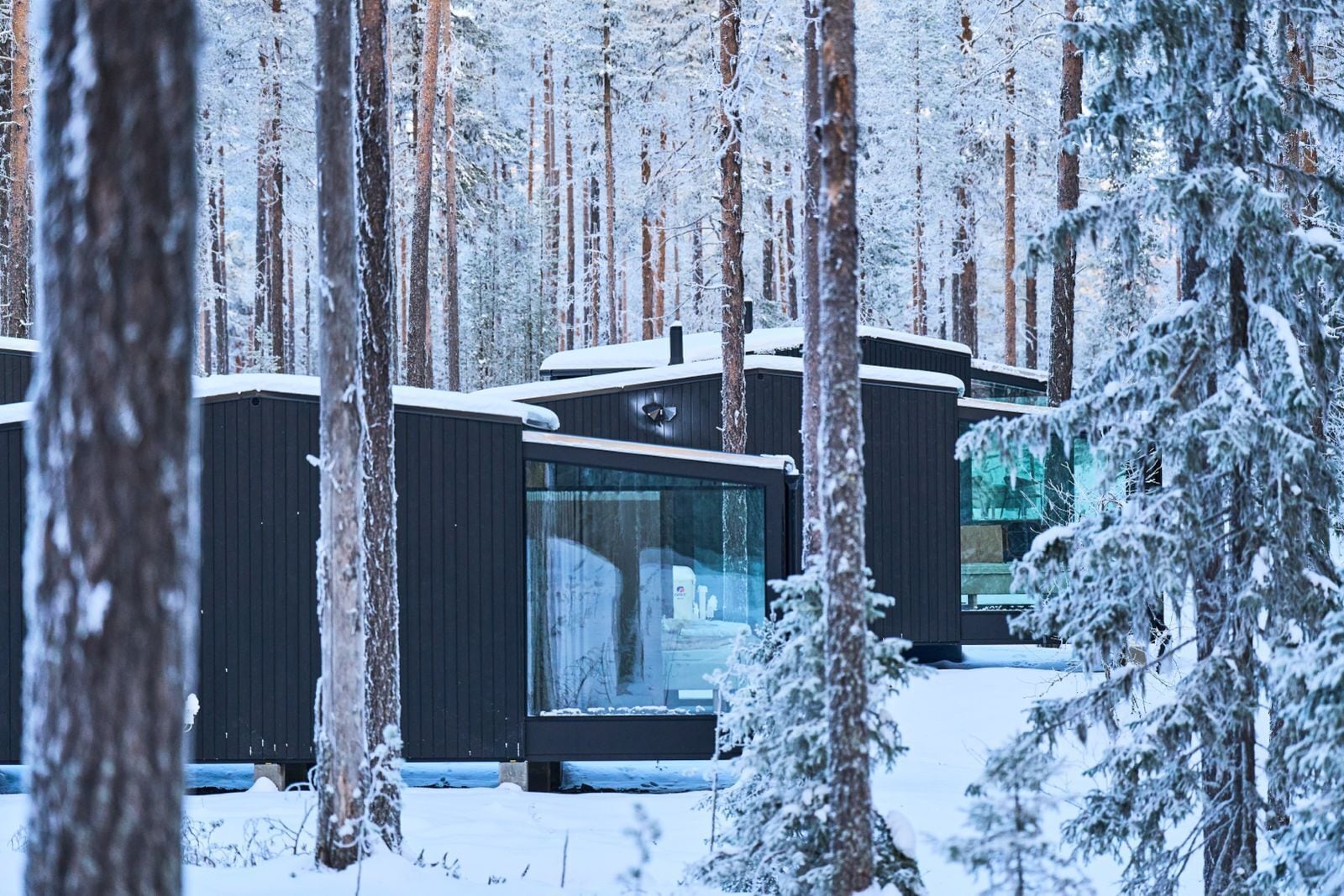 Glass Igloo | Sengetøy av topp kvalitet, minibar og safe på rommet