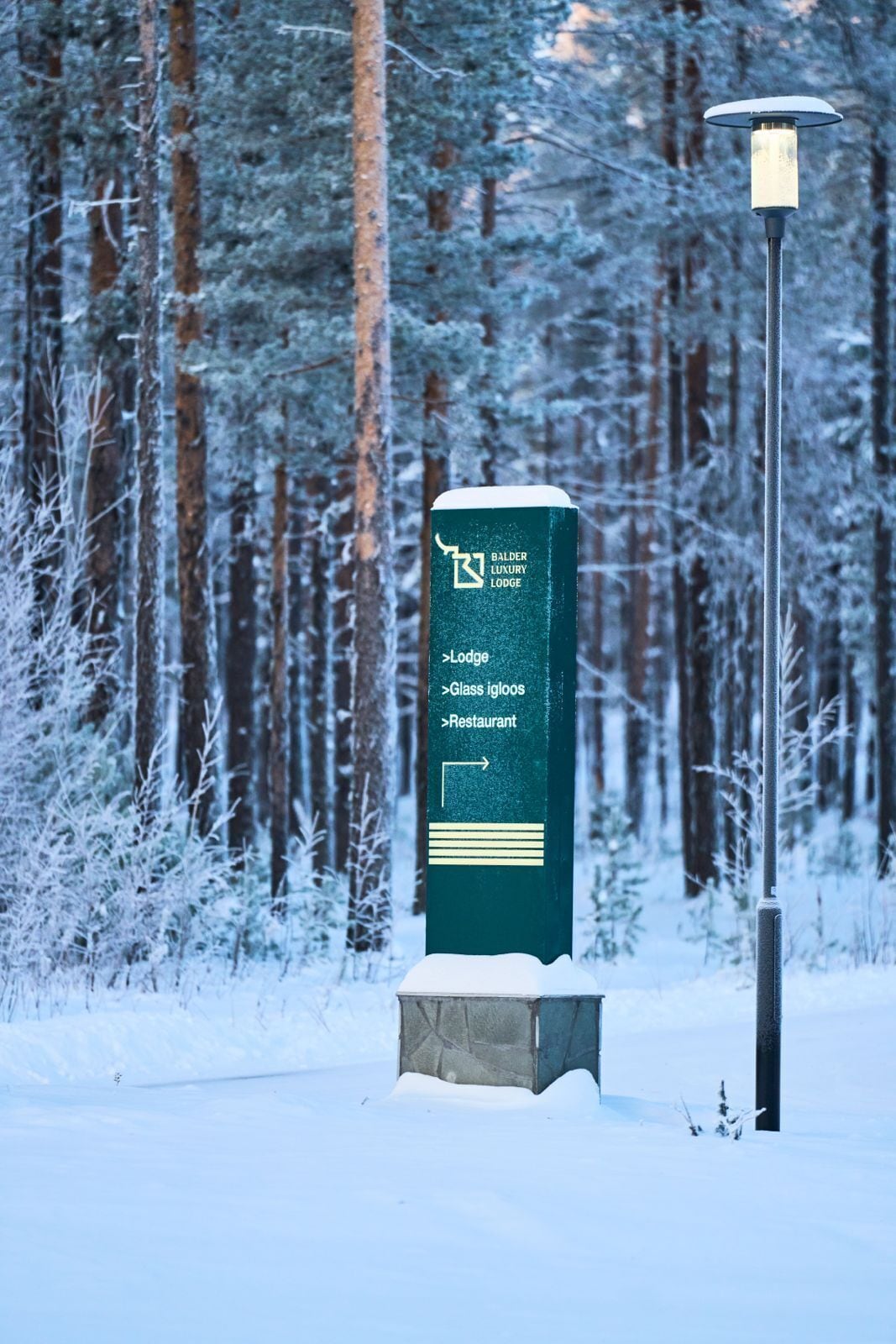 A directional sign for Balder Luxury Lodge with a snow-covered forest background.