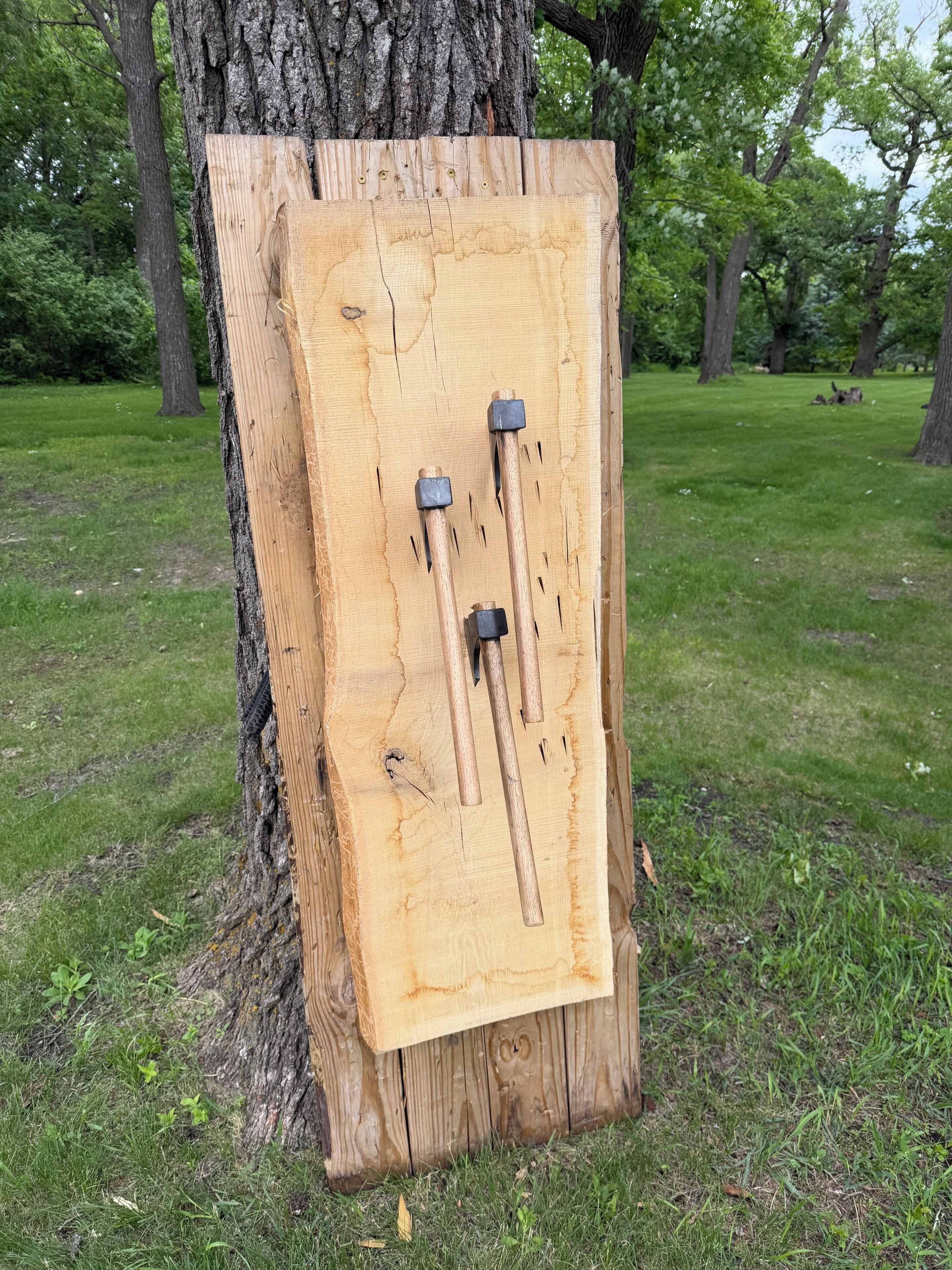 A wooden board with two metal objects attached to it, leaning against a tree.