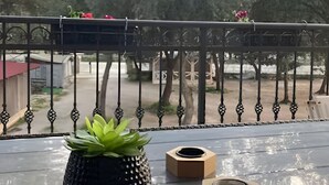 A balcony with a potted plant and two wooden boxes. - Charming 2-bedroom apartment with AC, WiFi in lovely Pakoštane (Pakoštane)