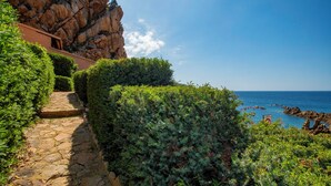 Un sendero de piedra que lleva a un acantilado con vistas a una zona costera de vegetación densa y cielo despejado.