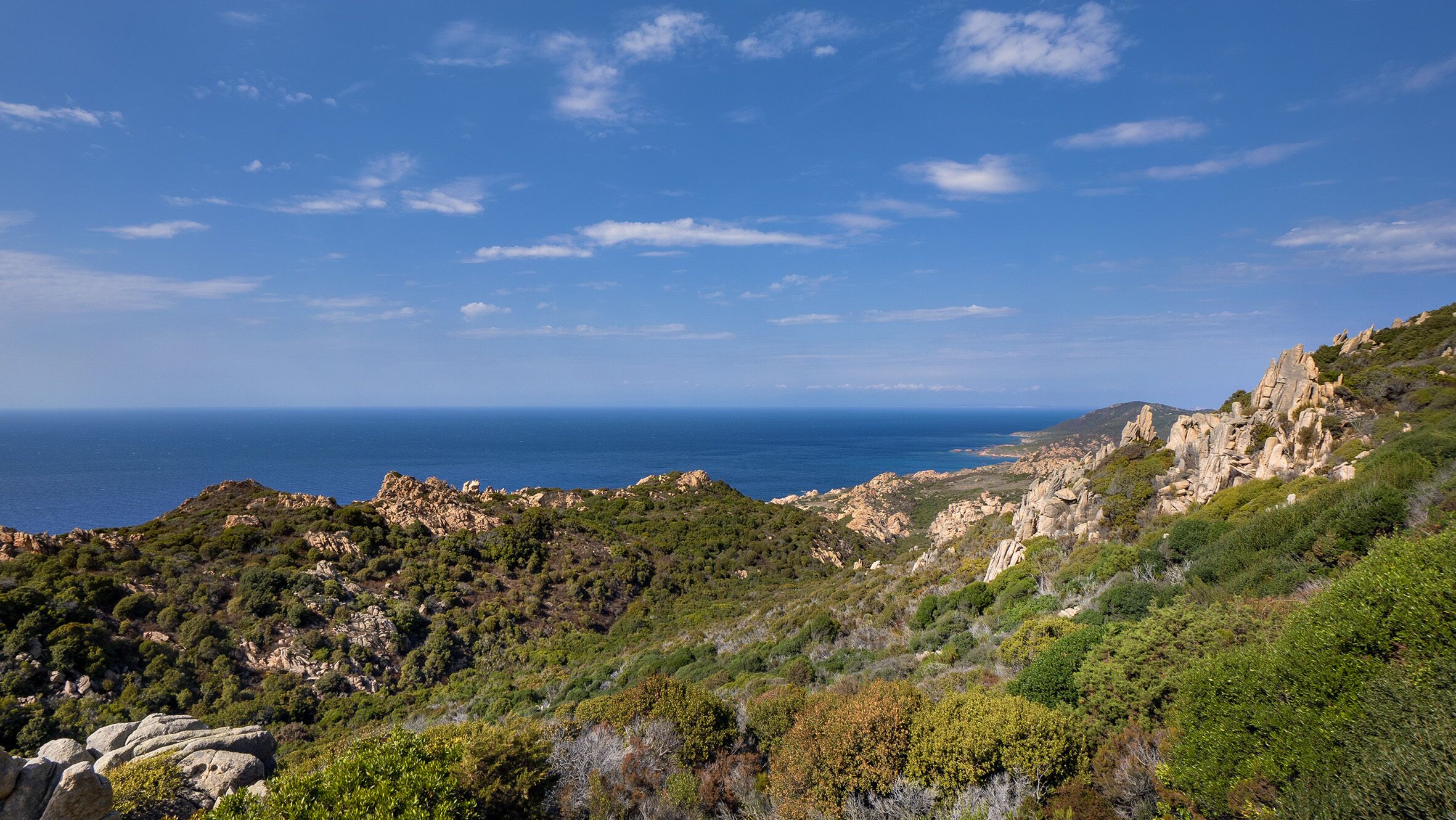 A coastal landscape with rocky terrain and dense vegetation.