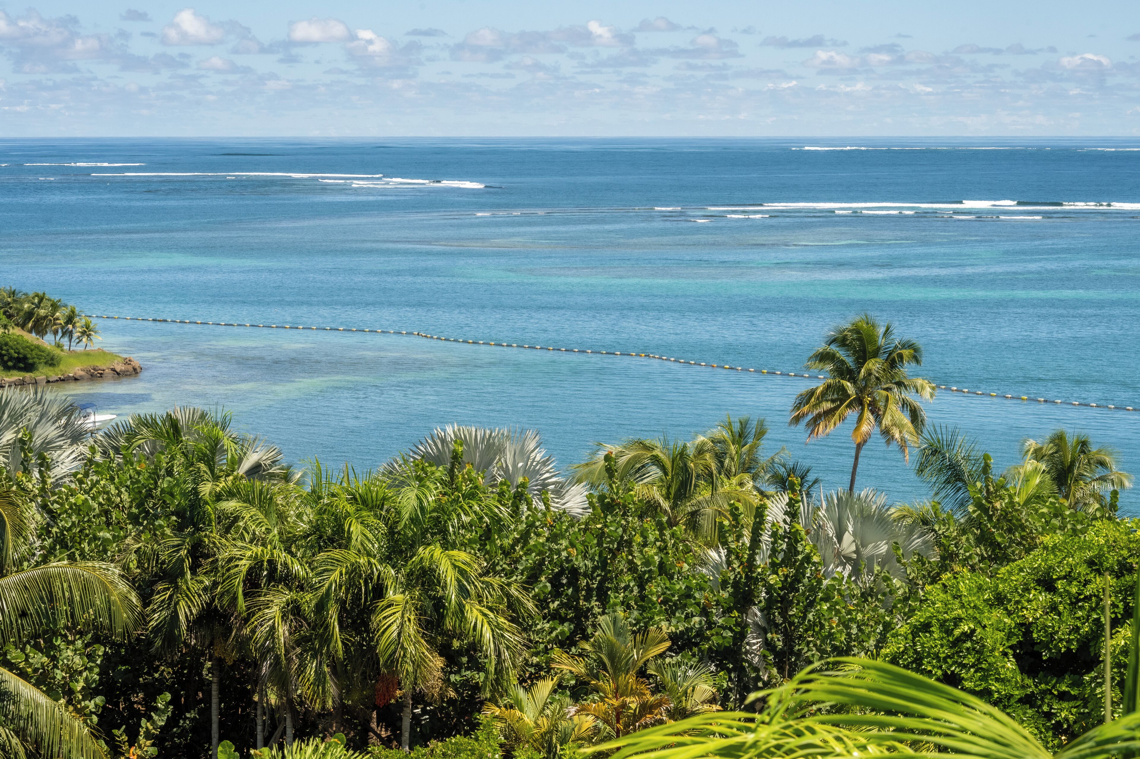A tropical beach with clear blue waters, palm trees, and a wooden walkway.
